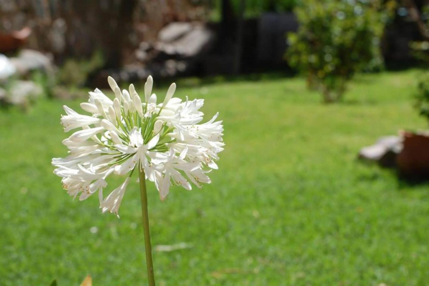 El Ensueno Villa Tilcara Luaran gambar