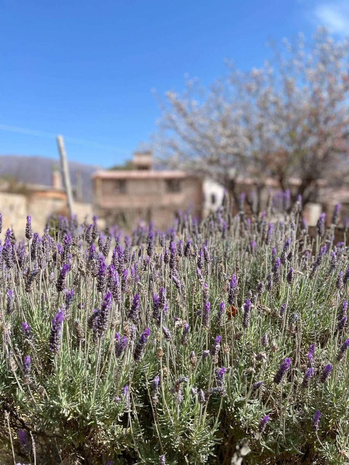 El Ensueno Villa Tilcara Luaran gambar