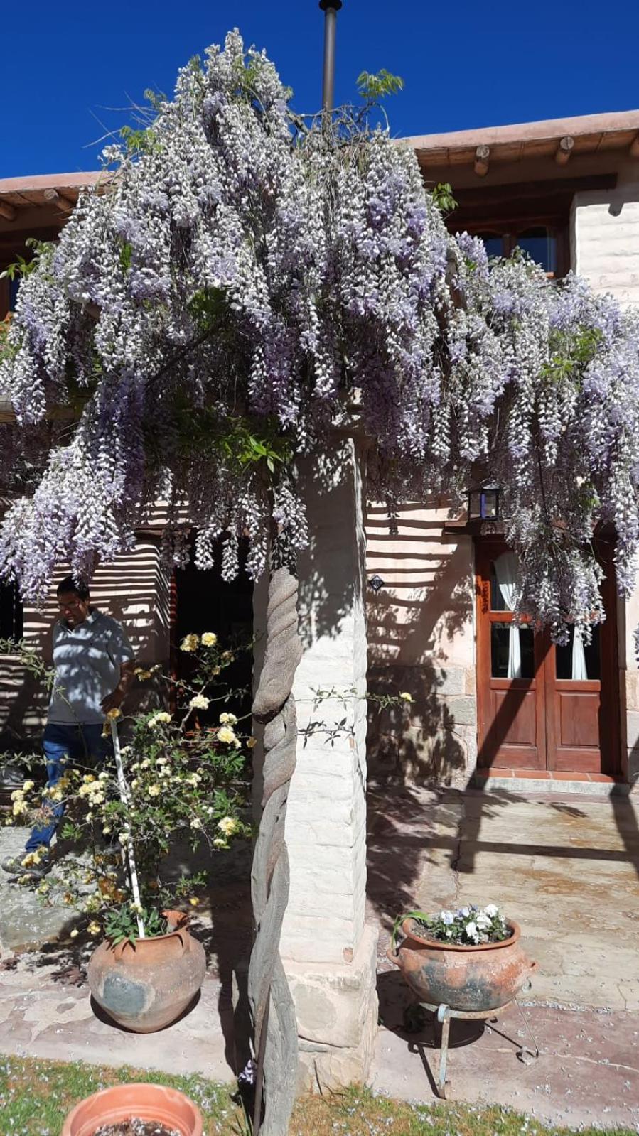 El Ensueno Villa Tilcara Luaran gambar